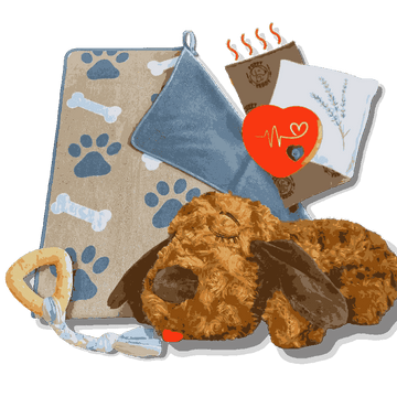 Puppy Kit with Blanket, Teething Toy, Heartbeat, Lavender, Heatpack