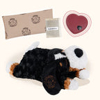 Calming Teddy