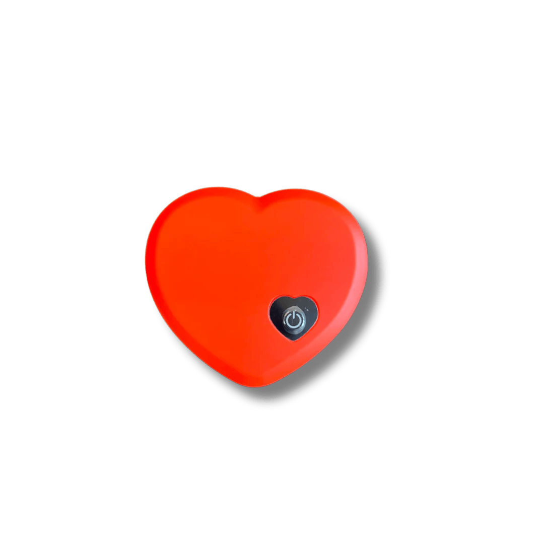 Dog Toy Beating Heart
