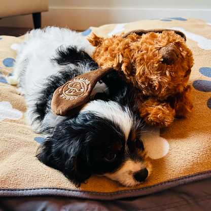 Original Calming Buddy