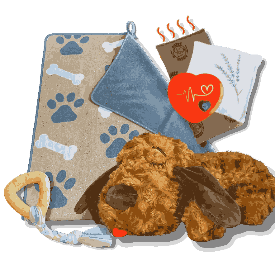 Original Calming Buddy | New Puppy Kit