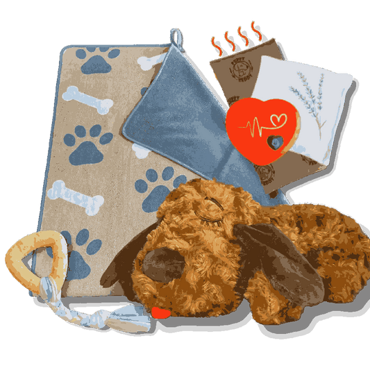 Puppy Kit with Blanket, Teething Toy, Heartbeat, Lavender, Heatpack