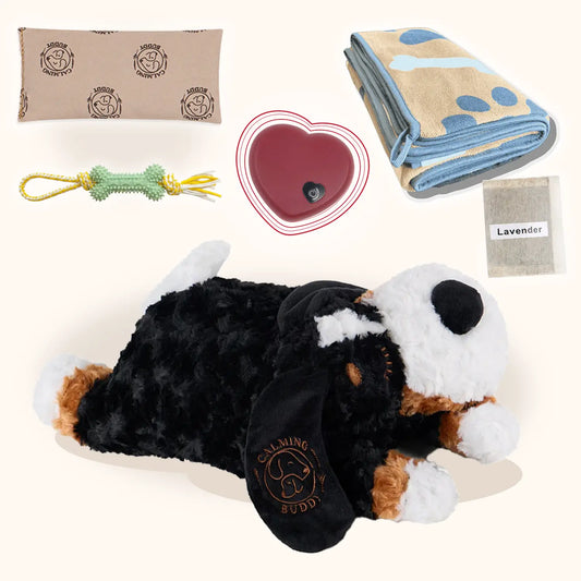 Calming Teddy | New Puppy Kit