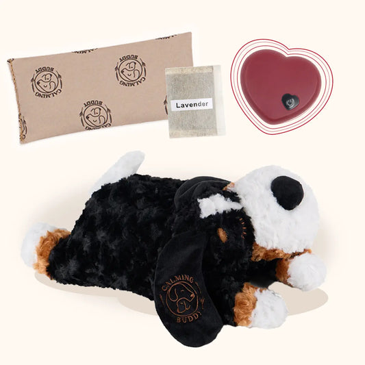 Calming Teddy