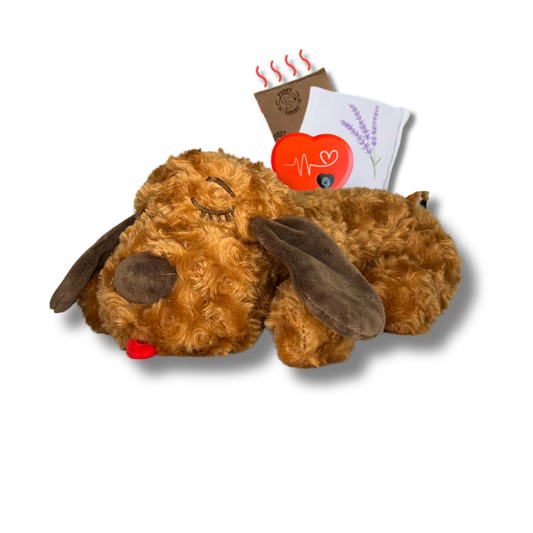 Dog Toy with Beating Heart