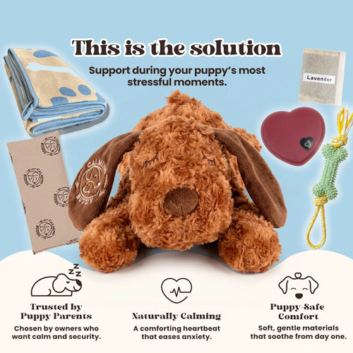 Little Calming Buddy | New Puppy Kit