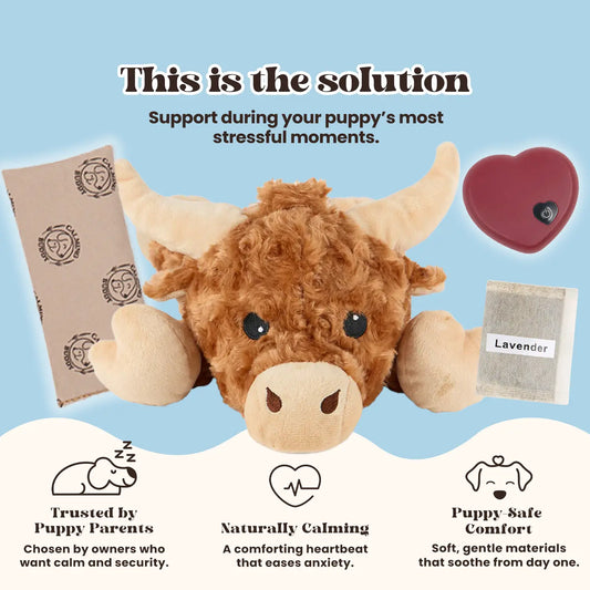 Calming Cow
