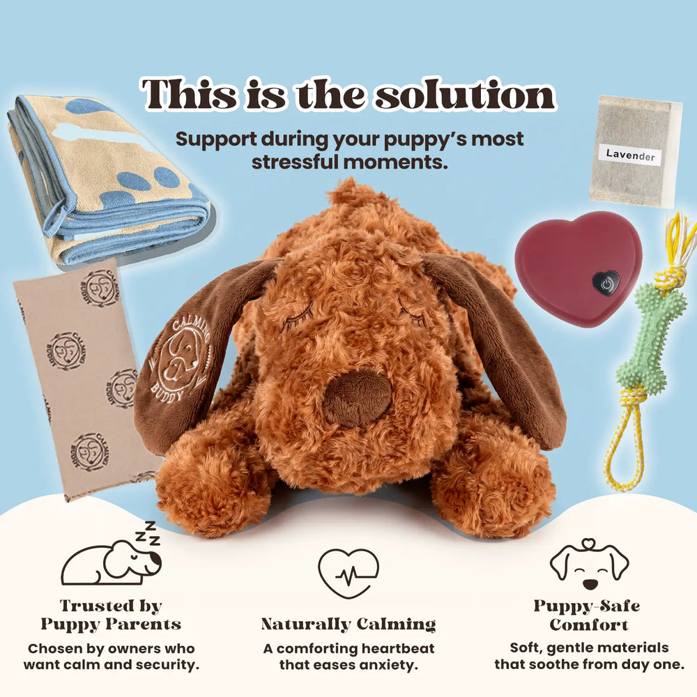 Calming Buddy | New Puppy Kit