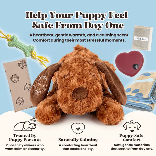 Original Calming Buddy