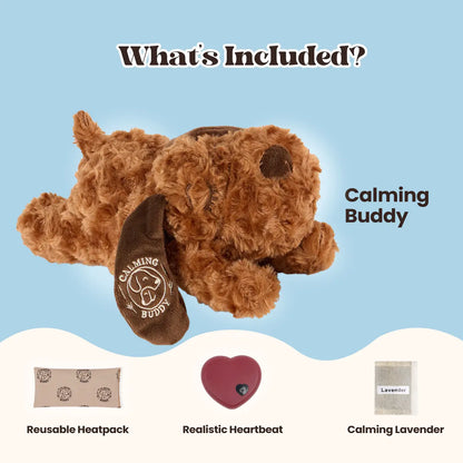 Original Calming Buddy
