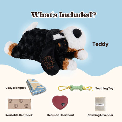 Calming Teddy | New Puppy Kit