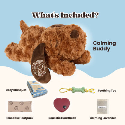 Little Calming Buddy | New Puppy Kit