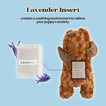 Original Calming Buddy