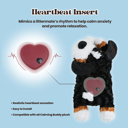 Calming Teddy