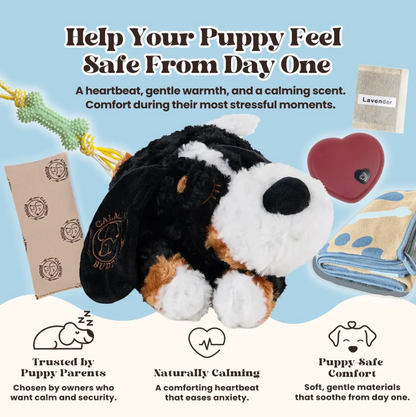 Little Calming Buddy | New Puppy Kit