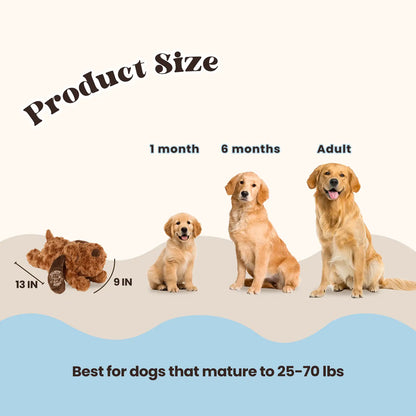 Calming Buddy | New Puppy Kit