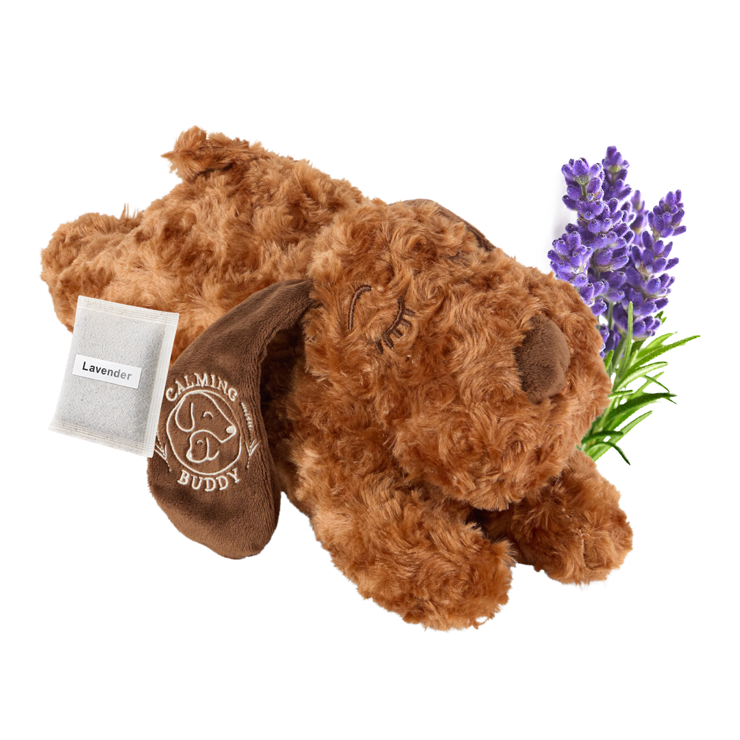Lavender Insert