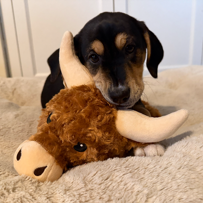 Calming Cow
