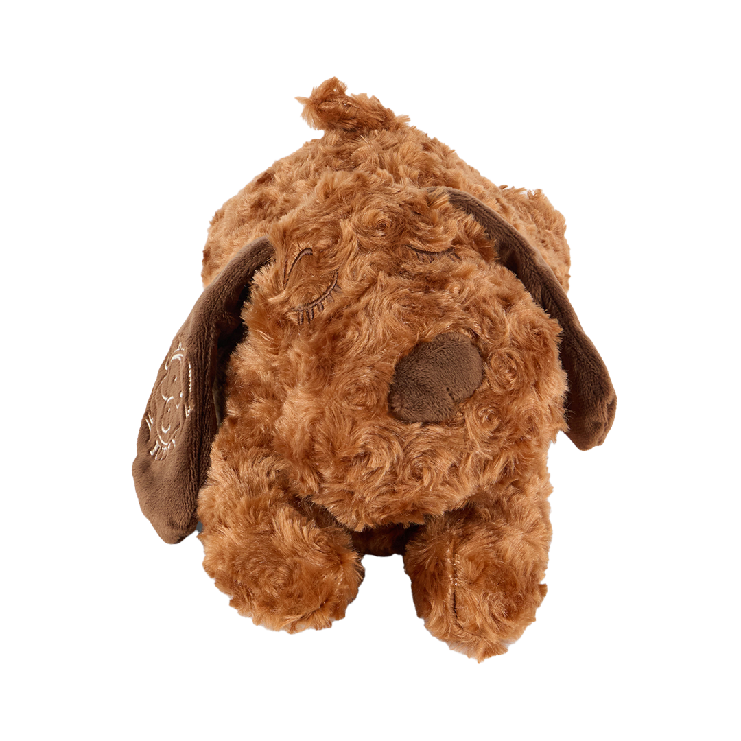 Original Calming Buddy