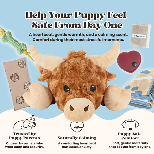 Calming Cow | New Puppy Kit