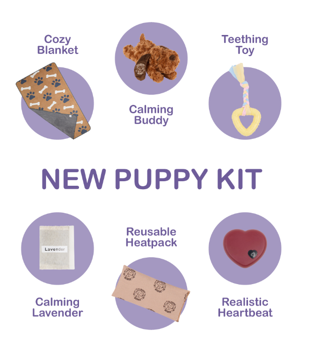 Little Calming Buddy | New Puppy Kit