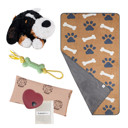 Little Calming Buddy | New Puppy Kit