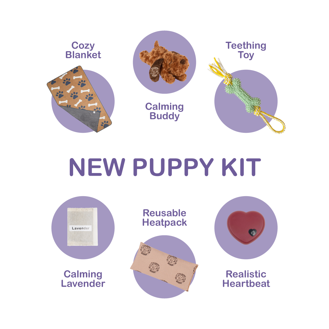 Original Calming Buddy | New Puppy Kit